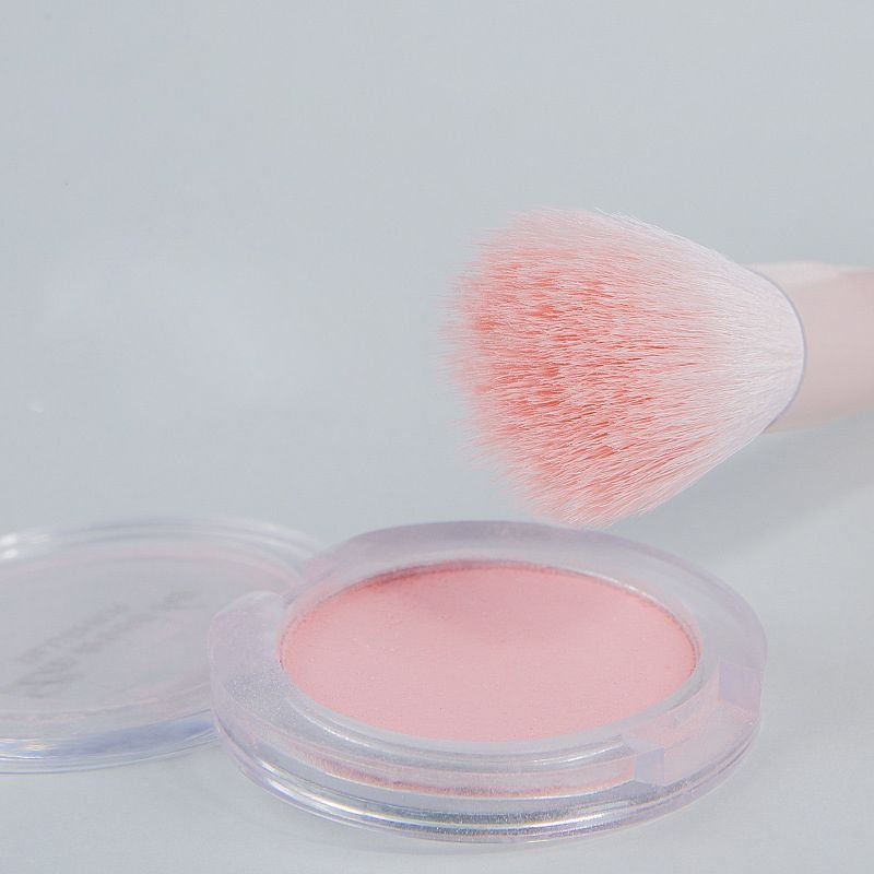 10 Pts Half Pond Jelly Mini Makeup Brush Set