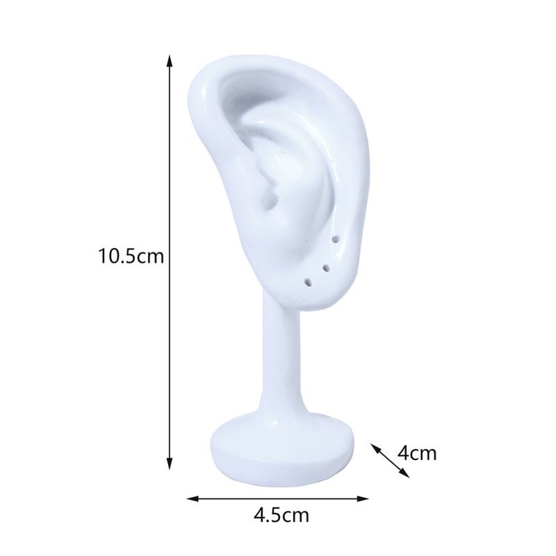 Women Fashion Simulation Ear Earrings Model Display Stand