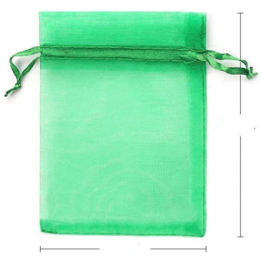 Simple Fruit Anti-Bird And Insect-Proof Net Bag